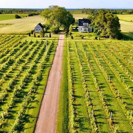 Sunbury Cove Winery Miscouche Exterior foto